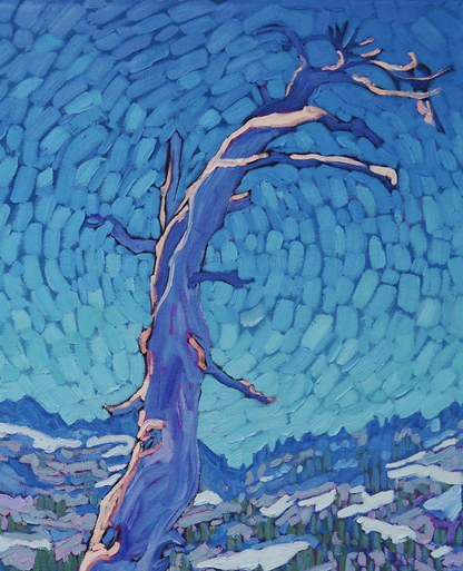 Beauty Carved by Time